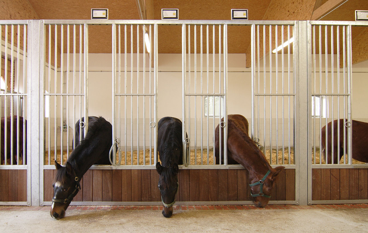 stable front pens